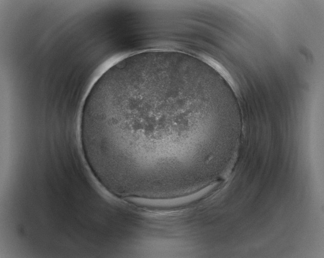 X0000116791482200912311907