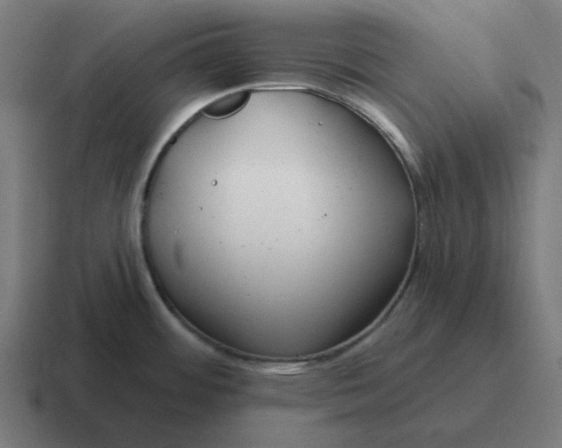 X0000116791484200912311907