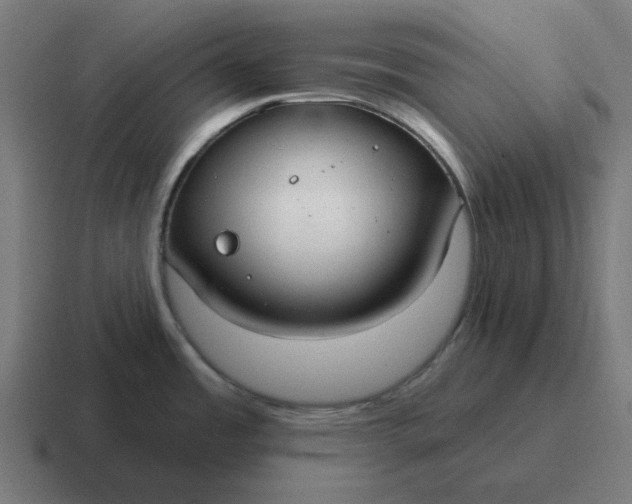 X0000116791485200912311907