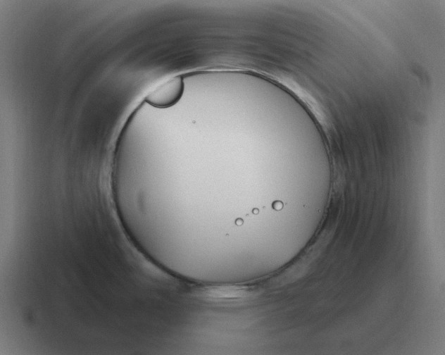 X0000116791486200912311907