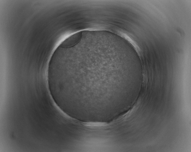 X0000116791487200912311907