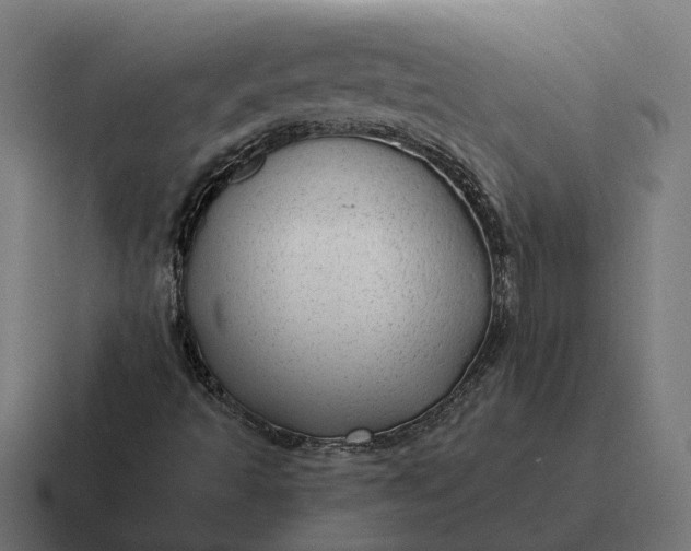 X0000116791493200912311906