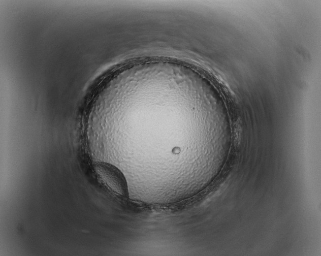 X0000116791494200912311906