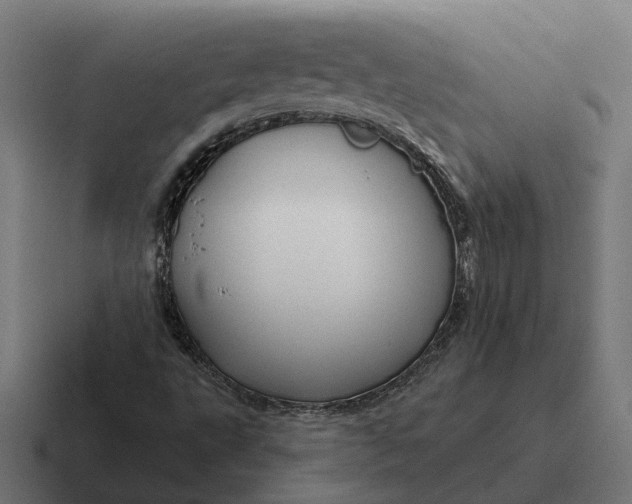 X0000116791495200912311906