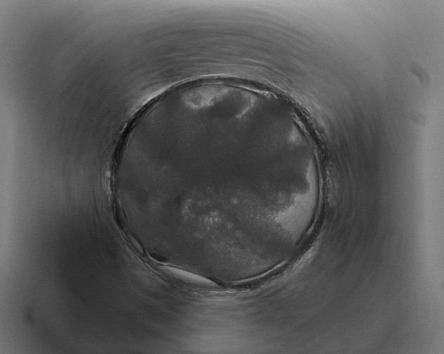 X0000116791497200912311906