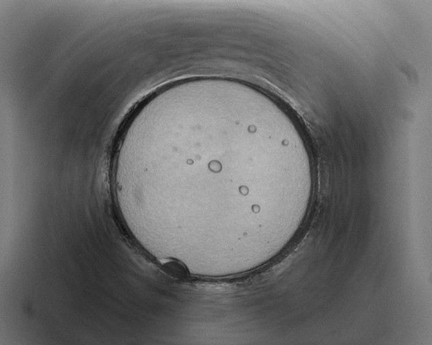 X0000116791498200912311906