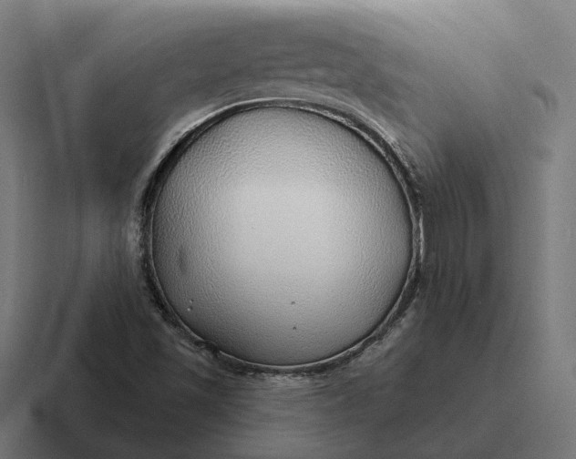 X0000116791501200912311906