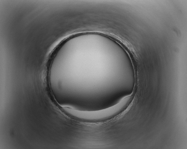 X0000116791502200912311907