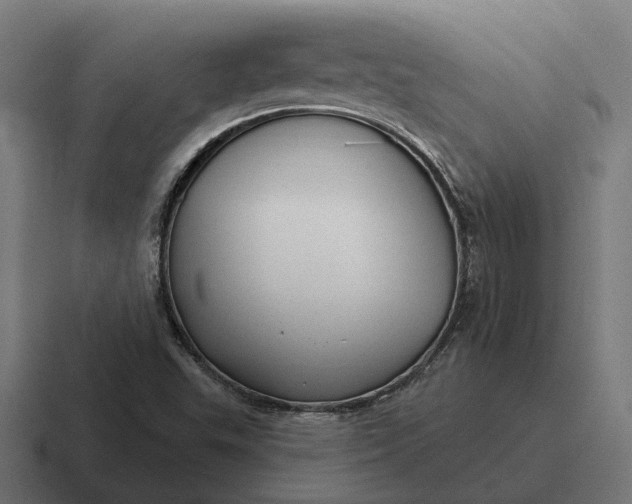 X0000116791503200912311907