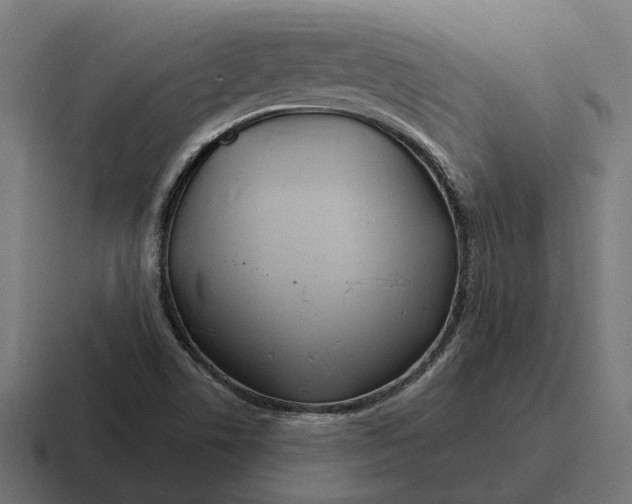 X0000116791506200912311907