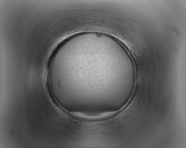 X0000116791507200912311907