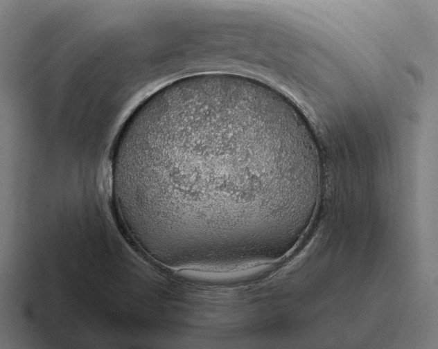 X0000116791509200912311907