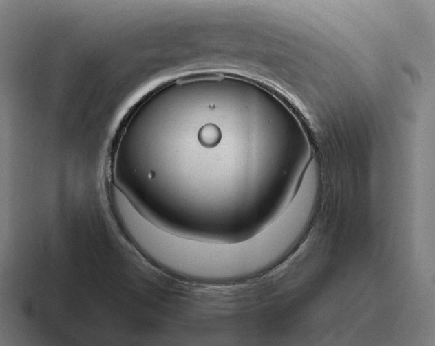 X0000116791510200912311907