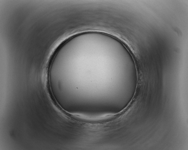 X0000116791511200912311907