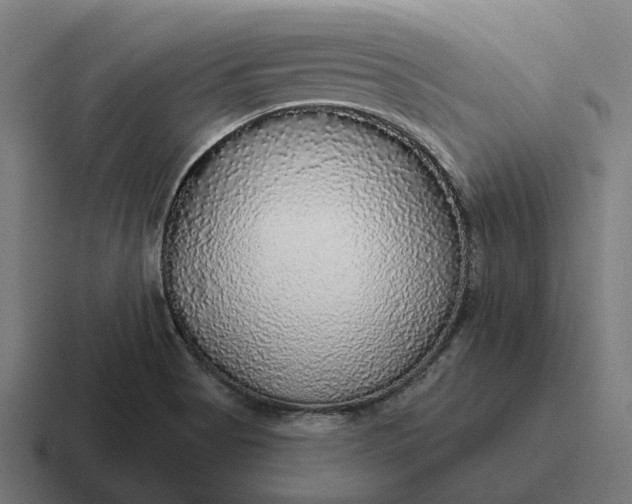 X0000116791513200912311907