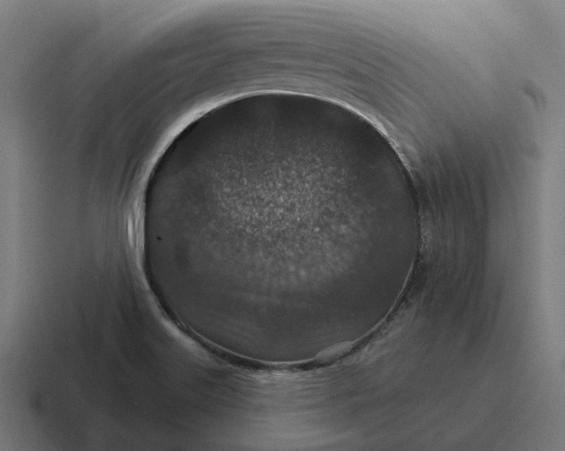 X0000116791515200912311907