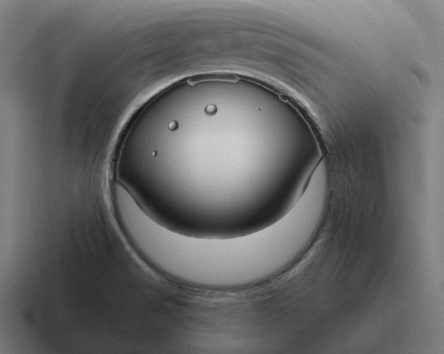 X0000116791517200912311907