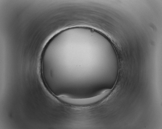 X0000116791518200912311907