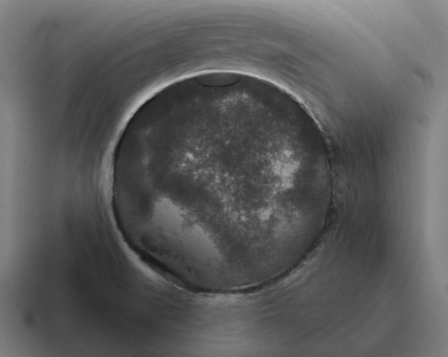 X0000116791519200912311907