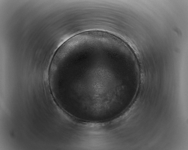 X0000116791521200912311907