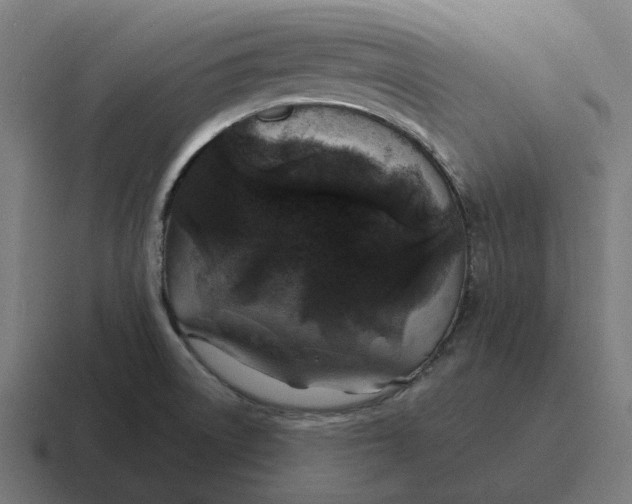 X0000116791522200912311907