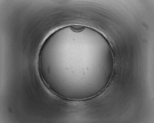 X0000116791523200912311907