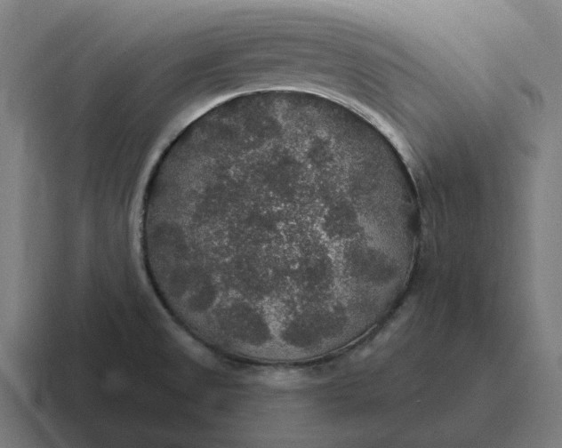 X0000116791525200912311907