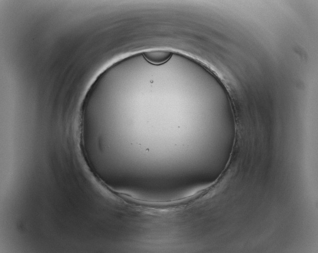 X0000116791526200912311907