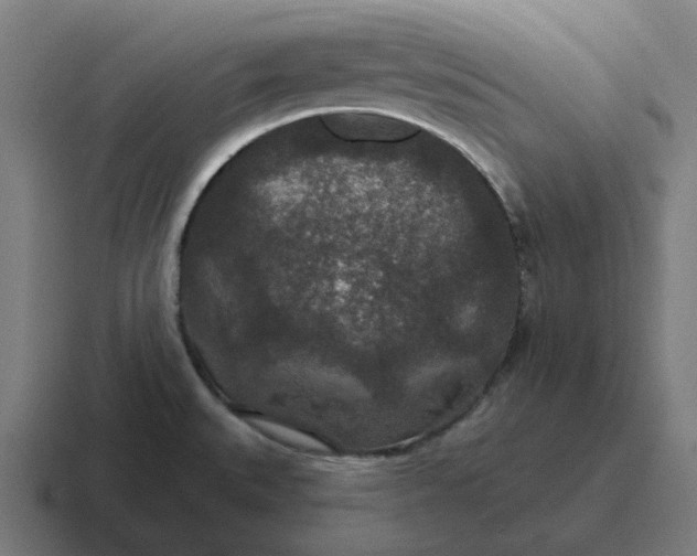 X0000116791527200912311907