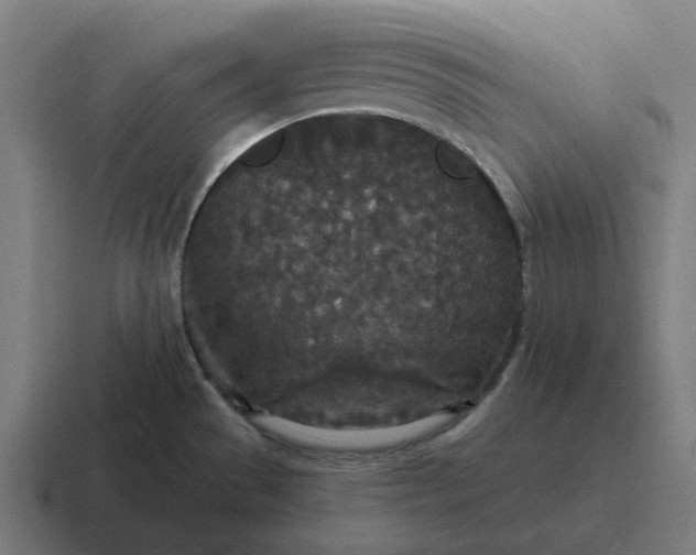 X0000116791529200912311907