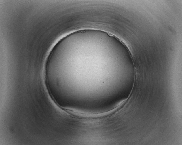 X0000116791531200912311907