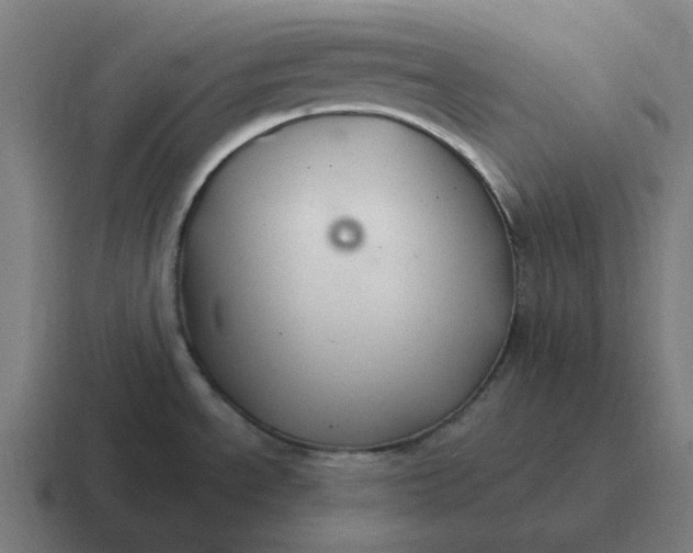 X0000116791534200912311907