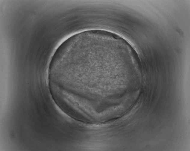 X0000116791535200912311907