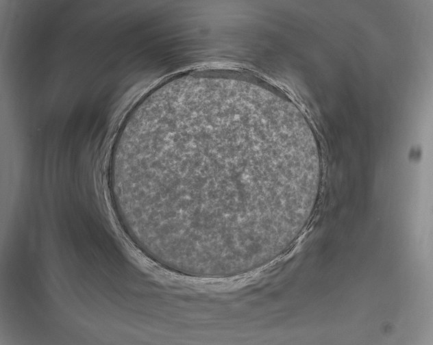 X0000116790001201001081323