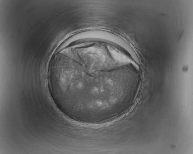 X0000116790002201001081323