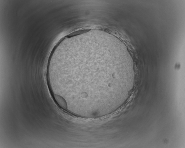 X0000116790003201001081323