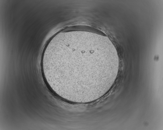 X0000116790004201001081323