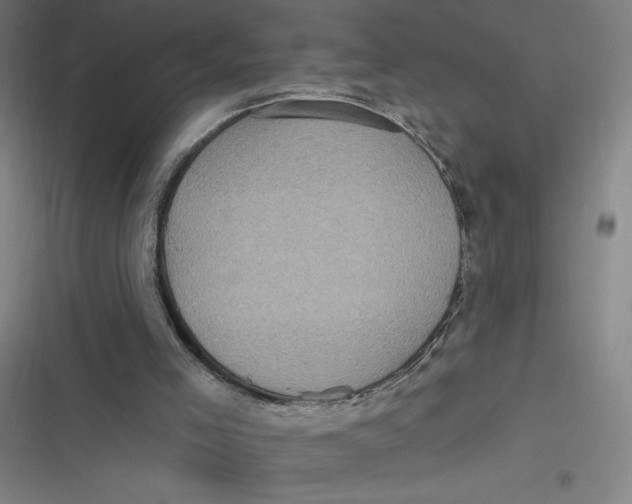 X0000116790005201001081323