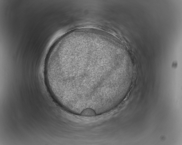 X0000116790006201001081323