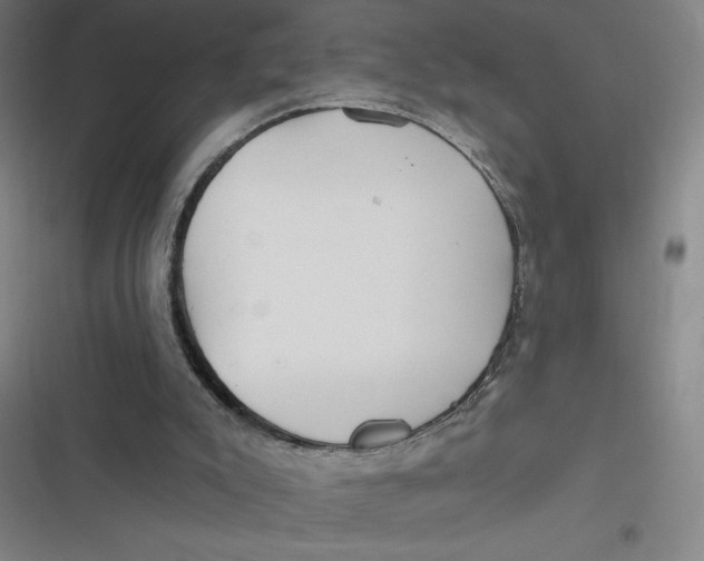 X0000116790007201001081323