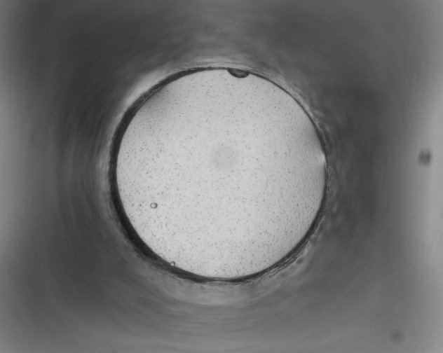 X0000116790008201001081323