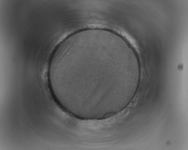 X0000116790009201001081323