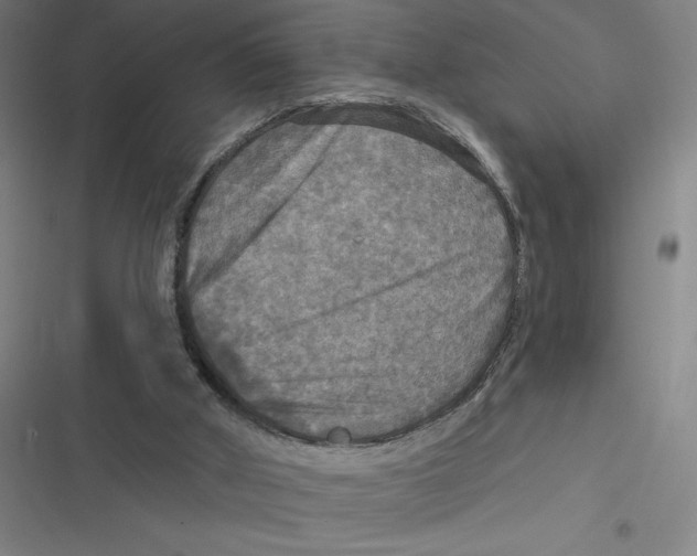 X0000116790010201001081323