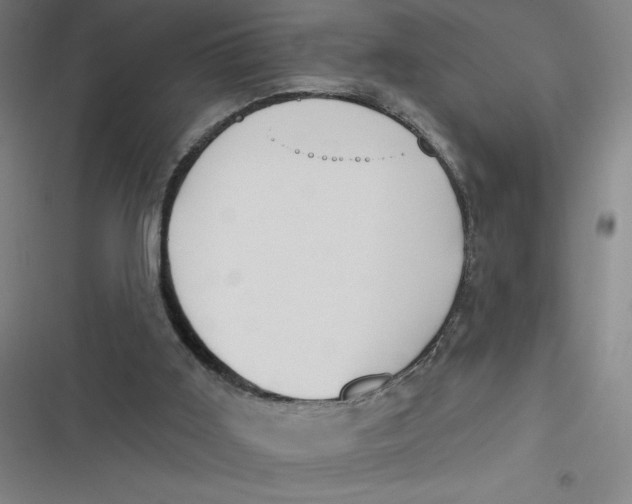 X0000116790011201001081323