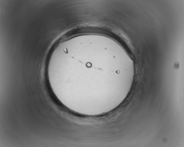 X0000116790012201001081323