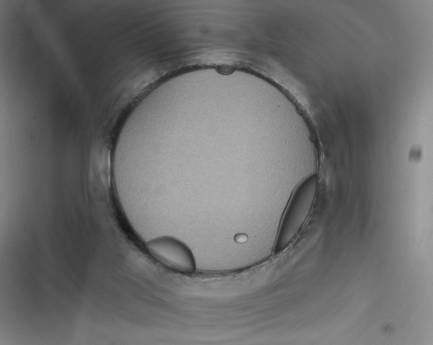 X0000116790013201001081323