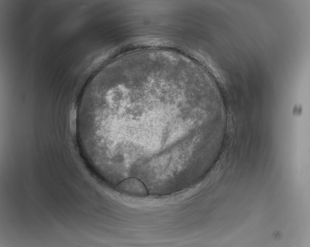 X0000116790014201001081323