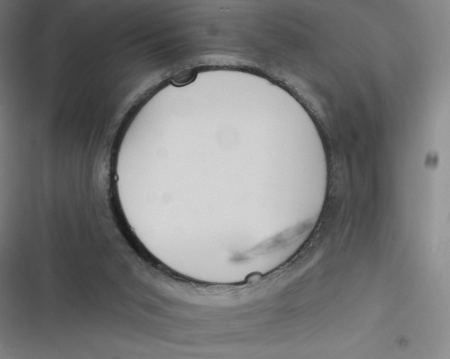 X0000116790015201001081323