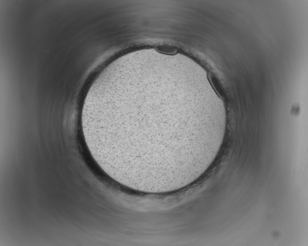 X0000116790016201001081323