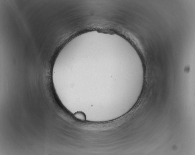 X0000116790017201001081323